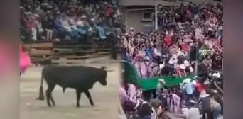 Joven muere corneado por enorme toro y tribunas colapsan durante fiesta patronal en Áncash Joven muere corneado por enorme toro y tribunas colapsan durante fiesta patronal en Áncash