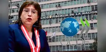 OCDE alerta que Perú no protege a fiscales anticorrupción frente al acoso e injerencias políticas