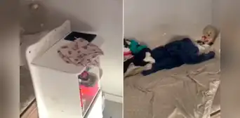 Rescatan a una niña brasileña cuyos padres la mantuvieron 6 años en cautiverio: no sabía hablar y nunca recibió vacunas Rescatan a una niña brasileña cuyos padres la mantuvieron 6 años en cautiverio: no sabía hablar y nunca recibió vacunas