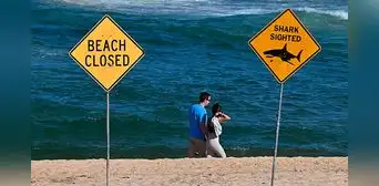 Australia: surfista muere tras ataque de tiburón y autoridades son obligadas a cerrar varias playas