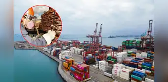 Exportaciones peruanas sumaron US$46.930 millones hasta julio 2025, con crecimiento de 17,1% Exportaciones peruanas sumaron US$46.930 millones hasta julio 2025, con crecimiento de 17,1%