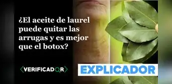 ¿El aceite de laurel puede quitar las arrugas y es más efectivo que el bótox?