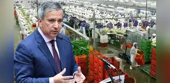 Ley Chlimper 2.0: MEF respalda beneficios tributarios a grandes empresas agroexportadoras Ley Chlimper 2.0: MEF respalda beneficios tributarios a grandes empresas agroexportadoras