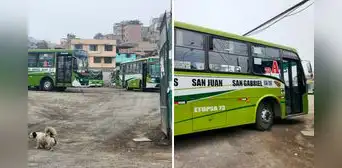 Conductores de buses Etupsa 73 se reunirán con sus extorsionadores tras constantes amenazas en VMT: flota está paralizada