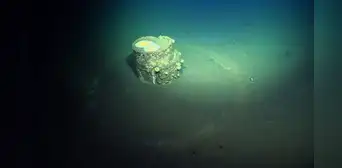 Los científicos por fin descubren lo que hay dentro de unos misteriosos barriles hallados en el fondo del océano Los científicos por fin descubren lo que hay dentro de unos misteriosos barriles hallados en el fondo del océano