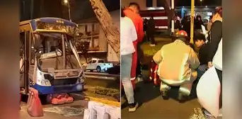Bus del Corredor Azul impacta contra un árbol y deja seis heridos en plena avenida Arequipa, en Lince Bus del Corredor Azul impacta contra un árbol y deja seis heridos en plena avenida Arequipa, en Lince