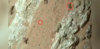La NASA anuncia el hallazgo del siglo: descubren indicios de vida en el pasado de Marte, pero lo más difícil será confirmarlo La NASA anuncia el hallazgo del siglo: descubren indicios de vida en el pasado de Marte, pero lo más difícil será confirmarlo