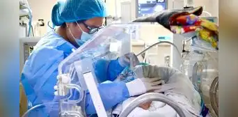 Más de 7.500 recién nacidos se hospitalizan cada año en Perú por VSR: "Esta infección viral es una amenaza seria" Más de 7.500 recién nacidos se hospitalizan cada año en Perú por VSR: "Esta infección viral es una amenaza seria"