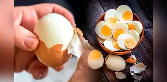 Huevo entero vs clara de huevo: ¿Cuál de los dos aporta más proteínas al consumirlos?