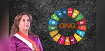 Gobierno de Dina Boluarte promulga reglamento que fortalece a la APCI y somete el financiamiento y actividades de las ONG
