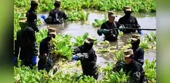 El Salvador: cientos de militares combaten planta invasora que hace imposible pescar en lago El Salvador: cientos de militares combaten planta invasora que hace imposible pescar en lago