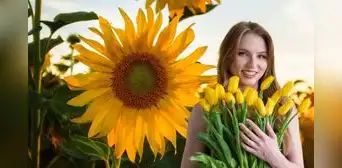 ¿Por qué se regalan flores amarillas el 21 de septiembre en Perú? El verdadero origen de esta popular tradición ¿Por qué se regalan flores amarillas el 21 de septiembre en Perú? El verdadero origen de esta popular tradición