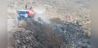 Arequipa: más de 50 especies de flora y fauna afectadas por incendio forestal en faldas del volcán Misti
