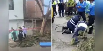Joven jardinero pierde la vida al podar árbol cerca de cables de alta tensión en Surco