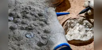 China descubre 28 huevos de dinosaurio de 86 millones de años que revelan una adaptación inédita al clima