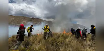 Dos nuevos incendios forestales en Arequipa consumen más de 100 hectáreas Dos nuevos incendios forestales en Arequipa consumen más de 100 hectáreas
