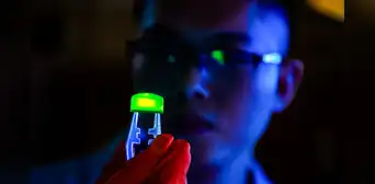 Científicos en China revolucionan la luz LED con dispositivo experimental capaz de durar 20 años y ofrecer brillo récord