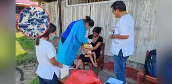 Minsa asegura que brote de tos ferina está controlado, pero ya se registran más de 30 niños indígenas fallecidos Minsa asegura que brote de tos ferina está controlado, pero ya se registran más de 30 niños indígenas fallecidos