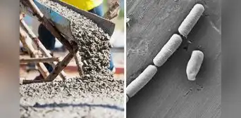 Científicos crean cemento biohíbrido que guarda electricidad y recupera 80% de su capacidad original