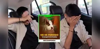 Óscar Junior Custodio se quiebra al enterarse en vivo que su perrito ha desaparecido y ofrece recompensa: "Por favor, ayúdenme a encontrarlo"