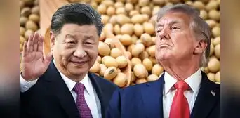 El país de Sudamérica que remplaza a Estados Unidos como el mayor exportador de soja a China por guerra de aranceles de Trump