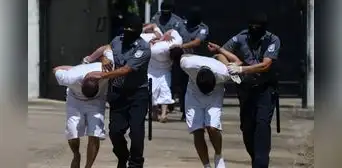 EE.UU. designa a la pandilla 'Barrio 18' como organización terrorista extranjera y Nayib Bukele lo agradece EE.UU. designa a la pandilla 'Barrio 18' como organización terrorista extranjera y Nayib Bukele lo agradece