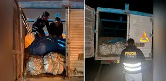 Policía incauta camión con peluches de contrabando en Tacna: estaban ocultos debajo de estiércol Policía incauta camión con peluches de contrabando en Tacna: estaban ocultos debajo de estiércol