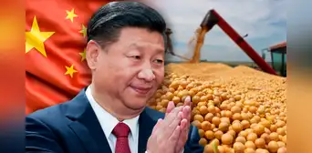 Este país de Sudamérica desafía a Brasil como el nuevo reemplazo de EE. UU. en las compras de soja de China Este país de Sudamérica desafía a Brasil como el nuevo reemplazo de EE. UU. en las compras de soja de China