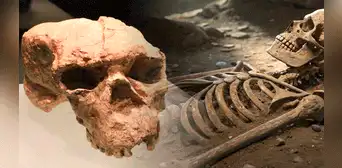 China desafía la historia de la evolución humana con el hallazgo de un cráneo de un millón de años de antigüedad China desafía la historia de la evolución humana con el hallazgo de un cráneo de un millón de años de antigüedad