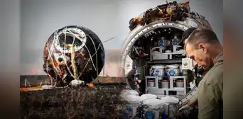 Regresó a la Tierra el 'Arca de Noé', el satélite ruso con 75 ratones, 1.500 moscas y plantas tras un mes en el espacio Regresó a la Tierra el 'Arca de Noé', el satélite ruso con 75 ratones, 1.500 moscas y plantas tras un mes en el espacio