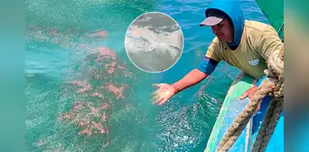 Pescadores de Cabo Blanco denuncian dos fugas de crudo en plataforma administrada por PetroPerú
