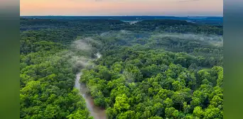 Contra todo pronóstico: la Amazonía ha comenzado a hacer exactamente todo lo contrario de lo que predijeron los climatólogos