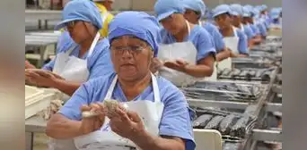 El 39% de empresas contratará personal pese a la incertidumbre electoral: Energía y Manufactura lideran, ¿Por qué?