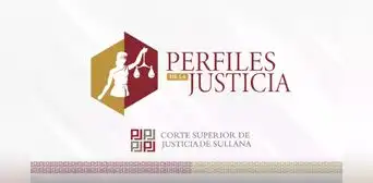 La Colaboración Eficaz en las Personas Jurídicas La Colaboración Eficaz en las Personas Jurídicas