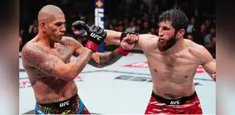 Alex Pereria vs Magomed Ankalaev 2 por la UFC 320: hora y canales para ver la histórica revancha por el título mundial Alex Pereria vs Magomed Ankalaev 2 por la UFC 320: hora y canales para ver la histórica revancha por el título mundial