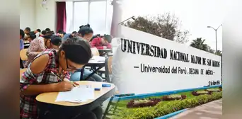 San Marcos 2026-I: estas son las dos carreras en las que ingresaron todos sus postulantes en el último examen de admisión San Marcos 2026-I: estas son las dos carreras en las que ingresaron todos sus postulantes en el último examen de admisión