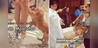Perrito se resiste a ser rociado con agua bendita en ceremonia masiva de mascotas y redes estallan: "No quiero, mamá"