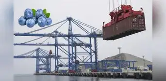 Estos son los productos peruanos que llegan a China a través del Megapuerto de Chancay en solo 23 días: costos de exportaciones se han reducido