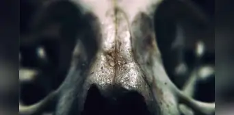 El descubrimiento en África que reescribiría la historia evolutiva de los humanos El descubrimiento en África que reescribiría la historia evolutiva de los humanos