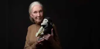 Jane Goodall, la dama de los chimpancés, en entrevista póstuma: "Enviaría al espacio a Trump, Musk, Putin y Netanyahu" Jane Goodall, la dama de los chimpancés, en entrevista póstuma: "Enviaría al espacio a Trump, Musk, Putin y Netanyahu"