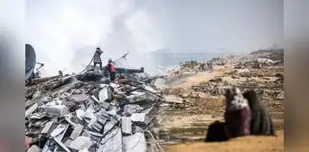 Asi será el plan de la ONU en Gaza tras alto el fuego: 60 días para alimentos, salud, agua y refugios Asi será el plan de la ONU en Gaza tras alto el fuego: 60 días para alimentos, salud, agua y refugios