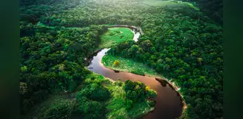 El país con más biodiversidad del mundo está en América Latina: descubre 700 especies nuevas al año El país con más biodiversidad del mundo está en América Latina: descubre 700 especies nuevas al año