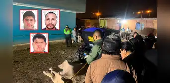 Cinco crímenes en las últimas 24 horas