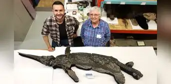 Reino Unido: Identifican al "dragón espada", una nueva especie de reptil marino prehistórico Reino Unido: Identifican al "dragón espada", una nueva especie de reptil marino prehistórico