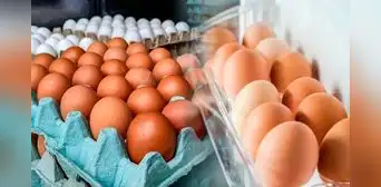 Día del Huevo: ¿es mejor guardarlo dentro o fuera de la refrigeradora? Esto dice un experto en alimentos