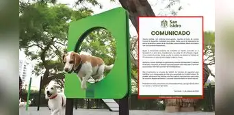 Vecinos de San Isidro denuncian muerte de al menos 5 perros por envenenamiento en parques y vías principales Vecinos de San Isidro denuncian muerte de al menos 5 perros por envenenamiento en parques y vías principales