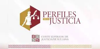 Política criminal, seguridad ciudadana y flagrancia delictiva Política criminal, seguridad ciudadana y flagrancia delictiva