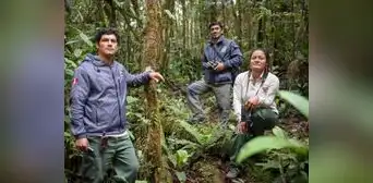 Patrullas, monitoreos y rescates: un día en la vida de un guardaparque