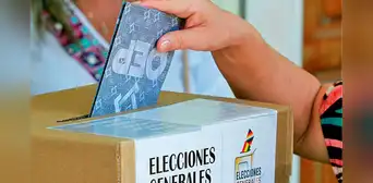 La UE envía 120 observadores para supervisar las elecciones en Bolivia y pide a candidatos reconocer los resultados La UE envía 120 observadores para supervisar las elecciones en Bolivia y pide a candidatos reconocer los resultados