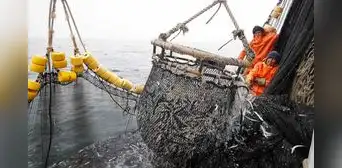 Gobierno perdona a la industria anchovetera y las libera del control de cuotas por "condiciones anómalas" del mar Gobierno perdona a la industria anchovetera y las libera del control de cuotas por "condiciones anómalas" del mar